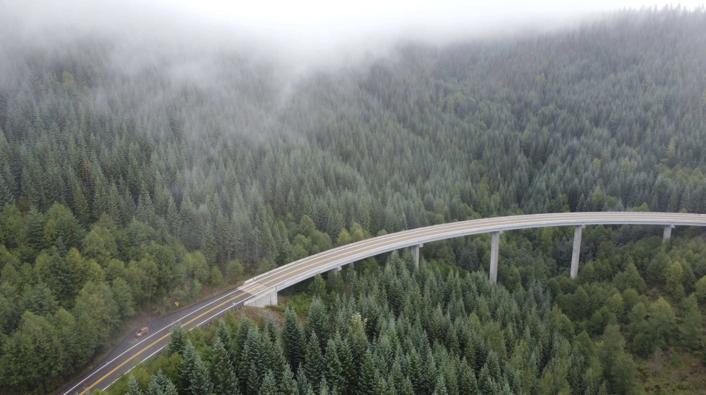 An arial shot of a bridge traversing a forest.